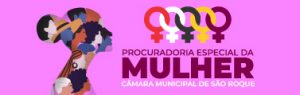 Camara - procuradoria da mulher